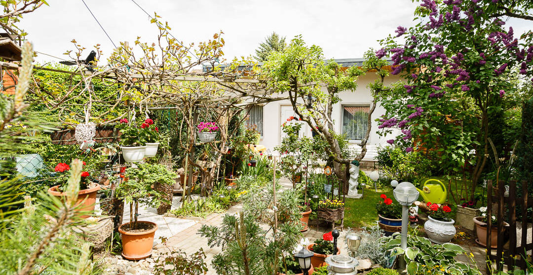 Garten Ferienhaus Ilsenburg