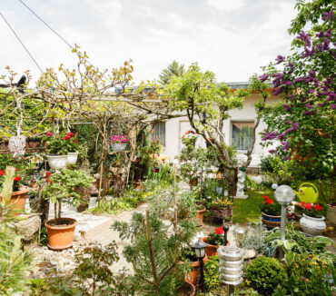 Garten Ferienhaus Ilsenburg